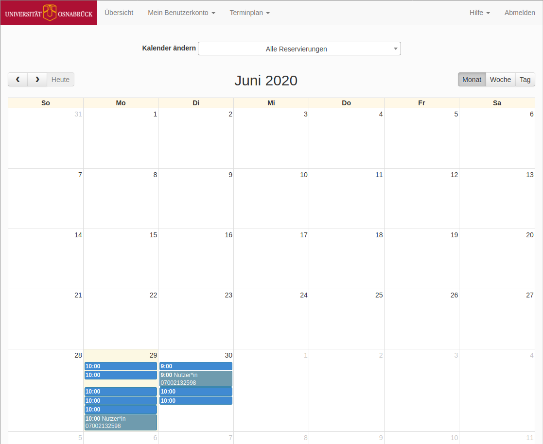 Abbildung Ressourcen Kalender